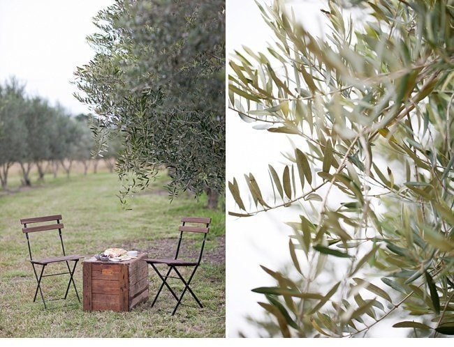 olive grove hochzeit olivenhain 0041