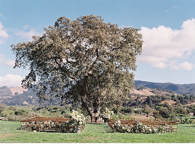 sierra chase weinberge sunstone winery 0015