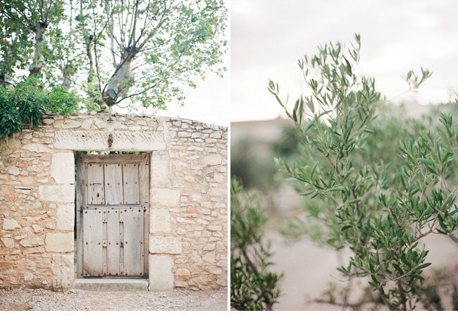 lavender olive grove provence wedding shoot 0002