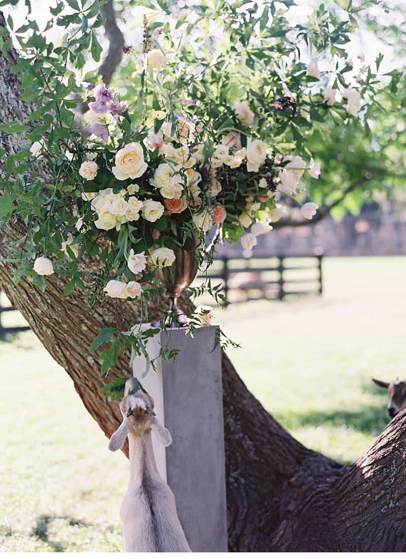 melanie daniel gartenhochzeit 0014