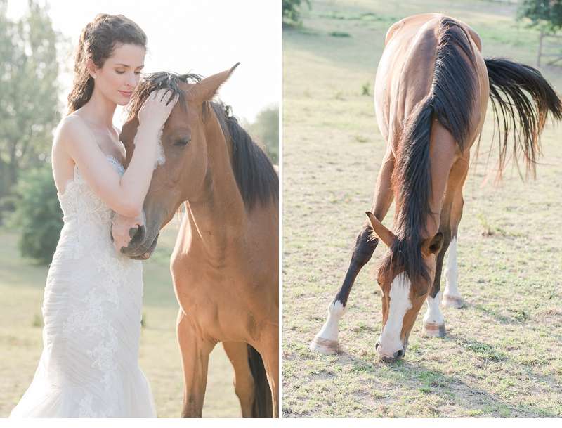 wedding-lavender-shoot_0027