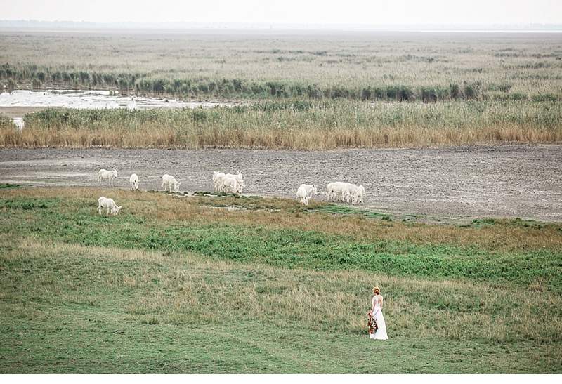 herbstshoot-braut-neusiedlersee_0003