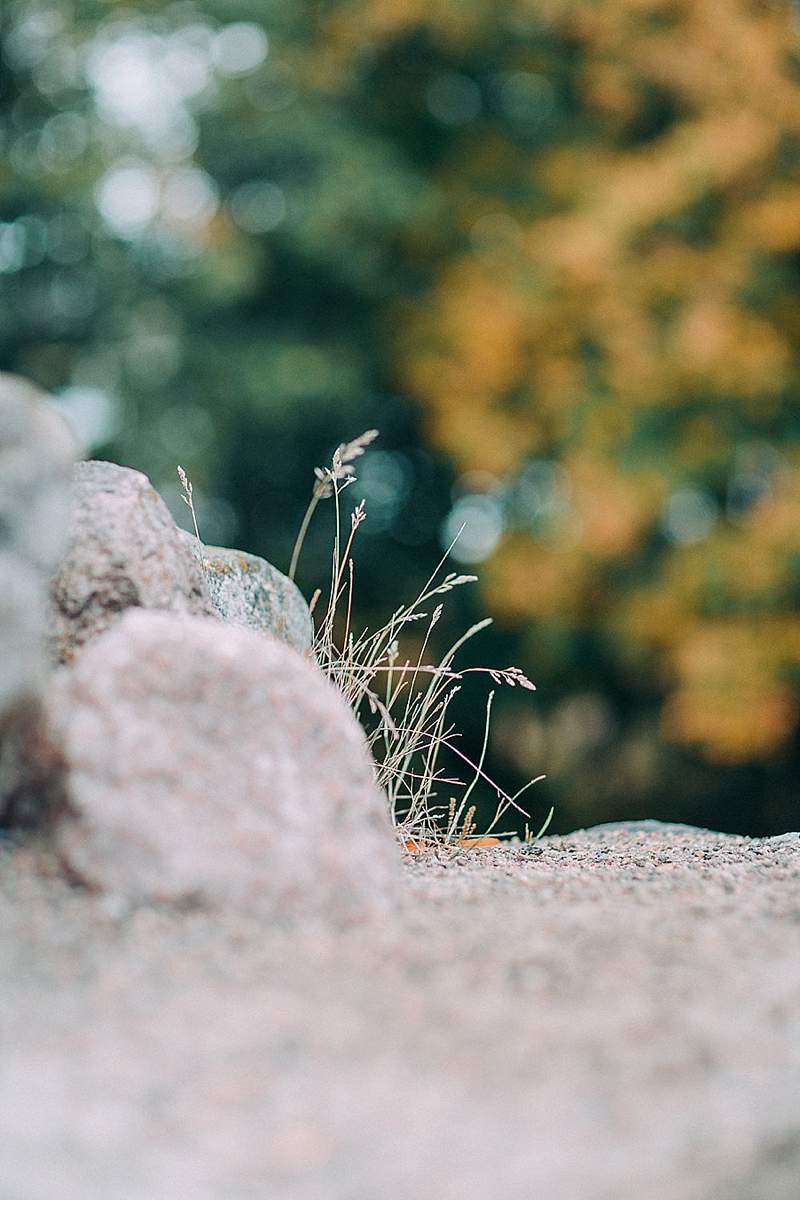 brautshooting-finnland-ruine-wald-schleier-romantisch_0003